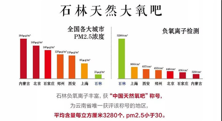 大美云南,旅居石林,凯旋怡景诗意栖息地产品发布会圆满落幕