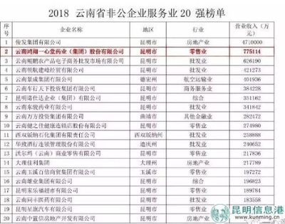 云南非公企业百强发布 一心堂位居第五