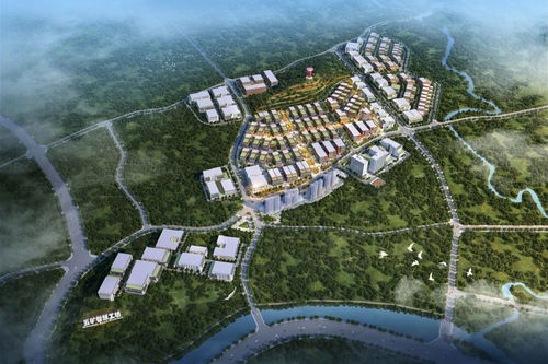 五矿集团为南安高质量发展赋能增效 央广网