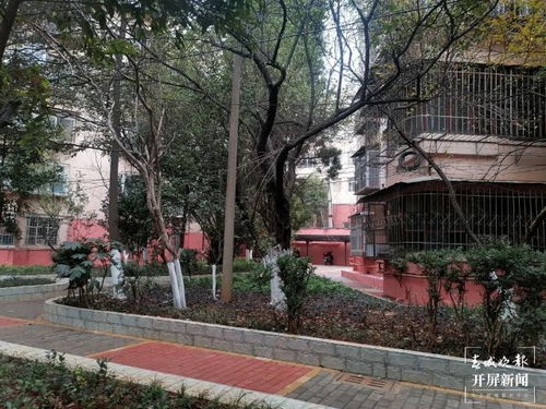 云南大范围雨雪来了 未来几天,昆明