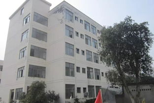 又有2家包装厂被法院查封,连房地产都被拍卖了