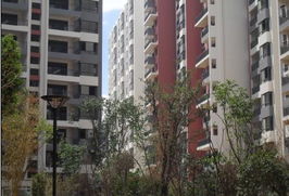 朝花曦拾1期满意交房 2期联邦国际中心即将面市
