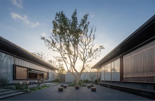 创新式传承 建发房产新品 诗意东方 正式发布