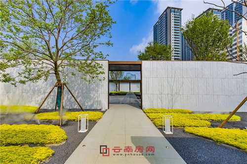 别光盯着昆明房价不放了,这几个重要信号都被人忽略了
