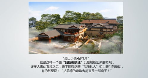中国乡村振兴战略特色小镇与田园综合体高端总裁峰会 西安站剪辑