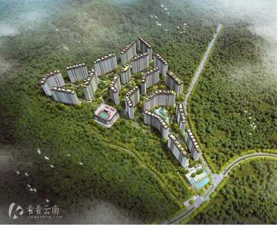 2019年,云南新增28.8万常住人口!西双版纳成省外置业者首选