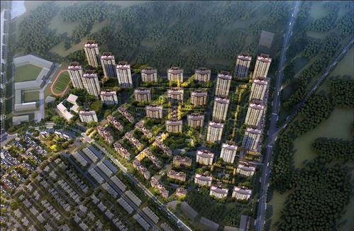 云南城投汀兰湖 半生墅院,遇见汀兰,省府南真温泉