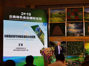 云南绿色食品国际论坛成功举办,十二块田与云南建投房地产现场签署合作协议