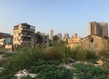 云南房地产市场动态与区域发展聚焦