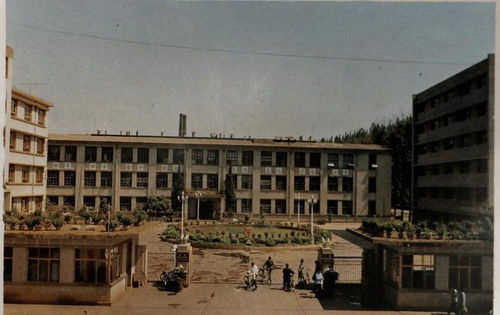 水泥封尸二十年 1963年云南女会计携款失踪悬案揭秘